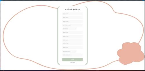 精品基于net实现的实习信息管理系统